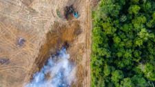 The world’s ecosystems have declined in size and condition by 47% globally compared to estimated baselines